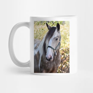 Drum horse Mug